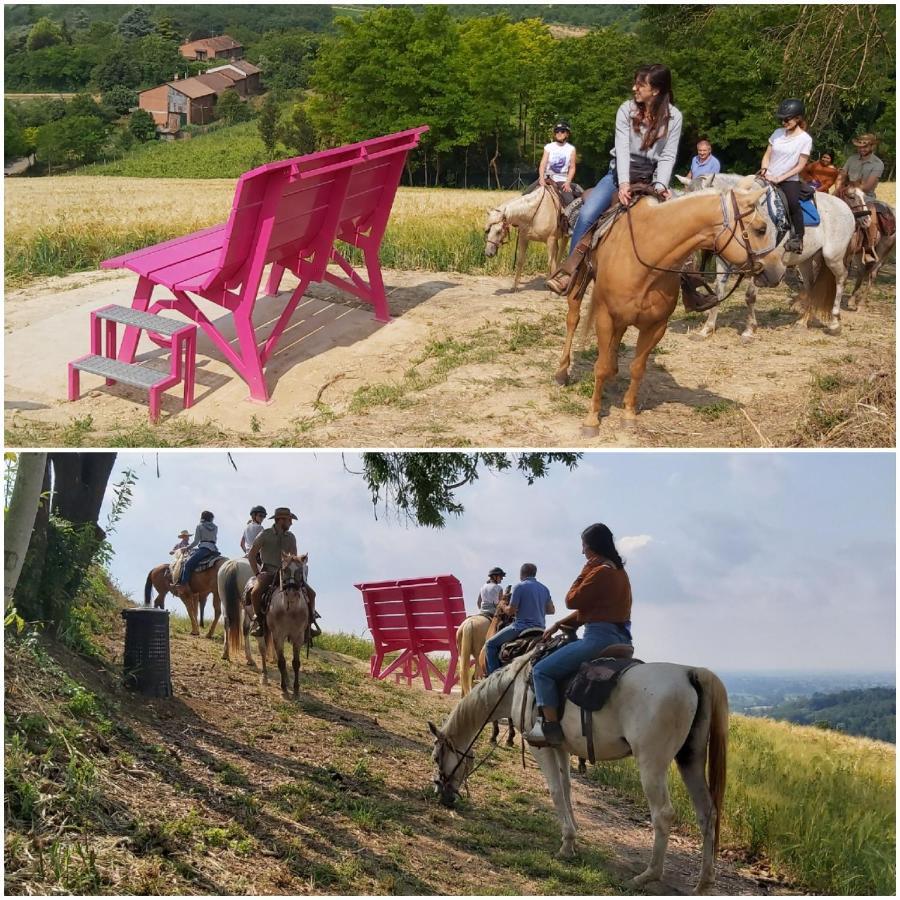 San Salvatore Monferrato Bed And Breakfast Olimpia מראה חיצוני תמונה