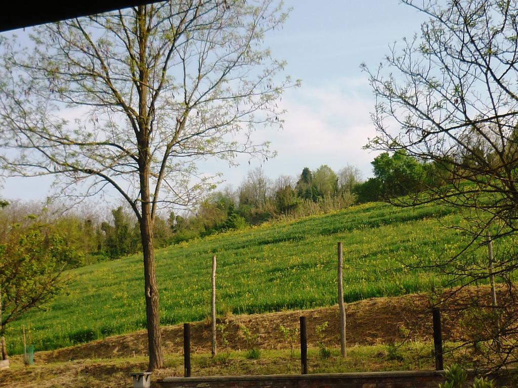 San Salvatore Monferrato Bed And Breakfast Olimpia מראה חיצוני תמונה