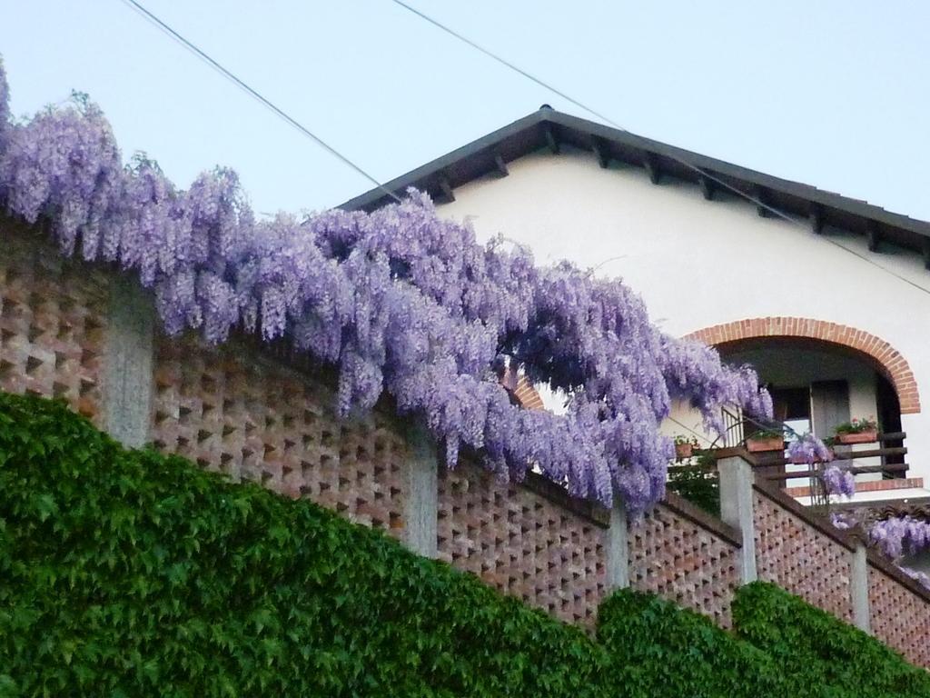 San Salvatore Monferrato Bed And Breakfast Olimpia מראה חיצוני תמונה