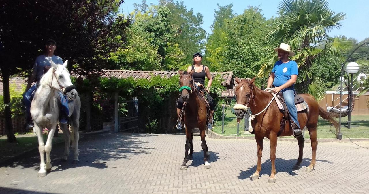 San Salvatore Monferrato Bed And Breakfast Olimpia מראה חיצוני תמונה