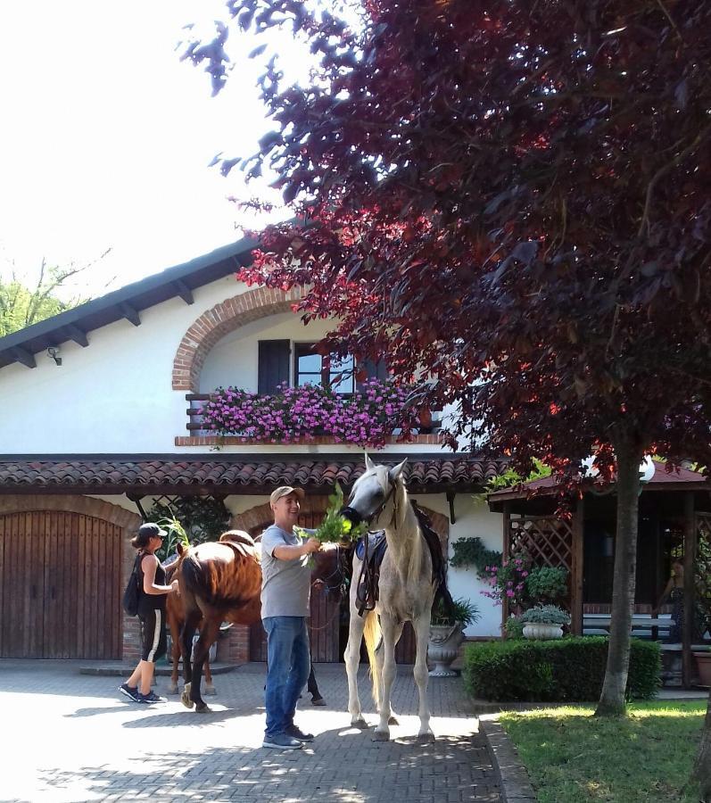 San Salvatore Monferrato Bed And Breakfast Olimpia מראה חיצוני תמונה